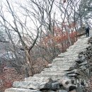 학림사 이미지