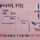 숙자초장