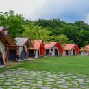 안성시 다목적 야영장 이미지