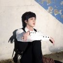 진포토 이미지