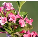 경안천습지생태공원 이미지