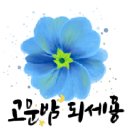 마음을 담은 붓펜 캘리그라피 이미지