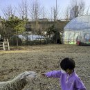 별이네 애견 농장 | 서울근교 실내동물원, 두물머리 애벌레 생태학교 동물체험 알차게 놀았네요