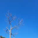 무룡산-KT중계소 이미지