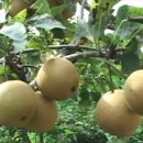 도송리병풍마을 이미지