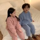 보드리 이미지