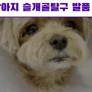 스마트 정형외과 신경외과 동물병원 이미지