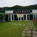 다사랑손칼국수 이미지