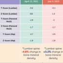 온다메드 이미지