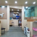 모라동물병원 이미지