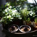 달팽이부엌 이미지