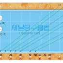 (5) 파이브 앤 하프 시스템 - 트랙선 활용 시스템 이미지