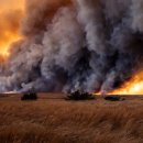 건초사료 이미지