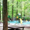 장태산자연휴양림 캠핑장 이미지