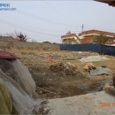 곡성-206 네이버블로그