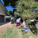 뽑기동산 이미지