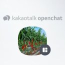 다인농산