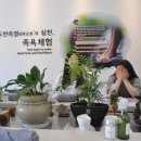 다엔원 네이버블로그
