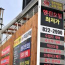 카니즈 이미지