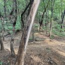 덕산 약수터 이미지