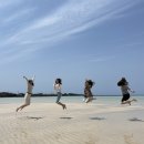 제주금능소품