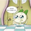 컴인뉴데이 | 카타르항공 오사카 합격 후기 - 어려워도 결국 해내는 파이널, 면접 꿀팁 총정리