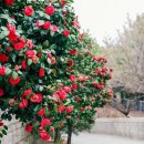 버스종점 이미지