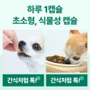 (주)더닥터 네이버블로그