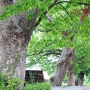 여산터미널 이미지