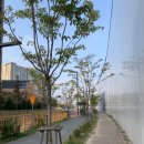 청계동 농민마트 삼거리 | 동탄 A94BL 장지동 레이크파크자연앤이편한세상 임장후기