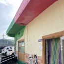 피플앤독 이미지