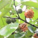 마평마을 이미지