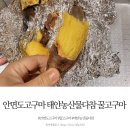안면도농산 이미지