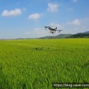 으뜸농약 이미지