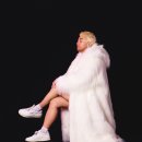 도도킹코리아 이미지