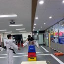 린 태권스쿨 이미지