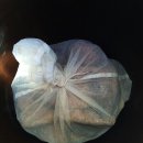 진아농장 이미지