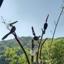 목수와시인