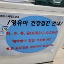 해맑은소아과 네이버블로그