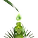 더에센스 이미지