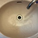 용성약국 이미지