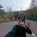 11650-14-49-17 | 이래서 남산 남산 하는구나? 봄꽃 피기 시작한 남산 북측순환로 러닝 후기