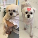 미니멍 살롱 이미지