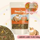 버디