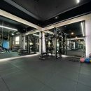 바디플랜 이미지