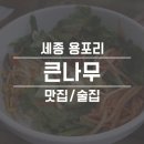 남세종농협하나로마트 용포지점 | 세종 용포리 큰나무