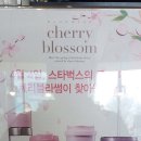 체리블라썸 이미지