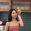 나인컨셉