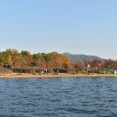 카페선덕
