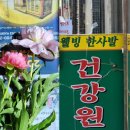대구 꽃집 추천| 겹작약을 천 원대에| 건강원에서 구입한 왕귀욤